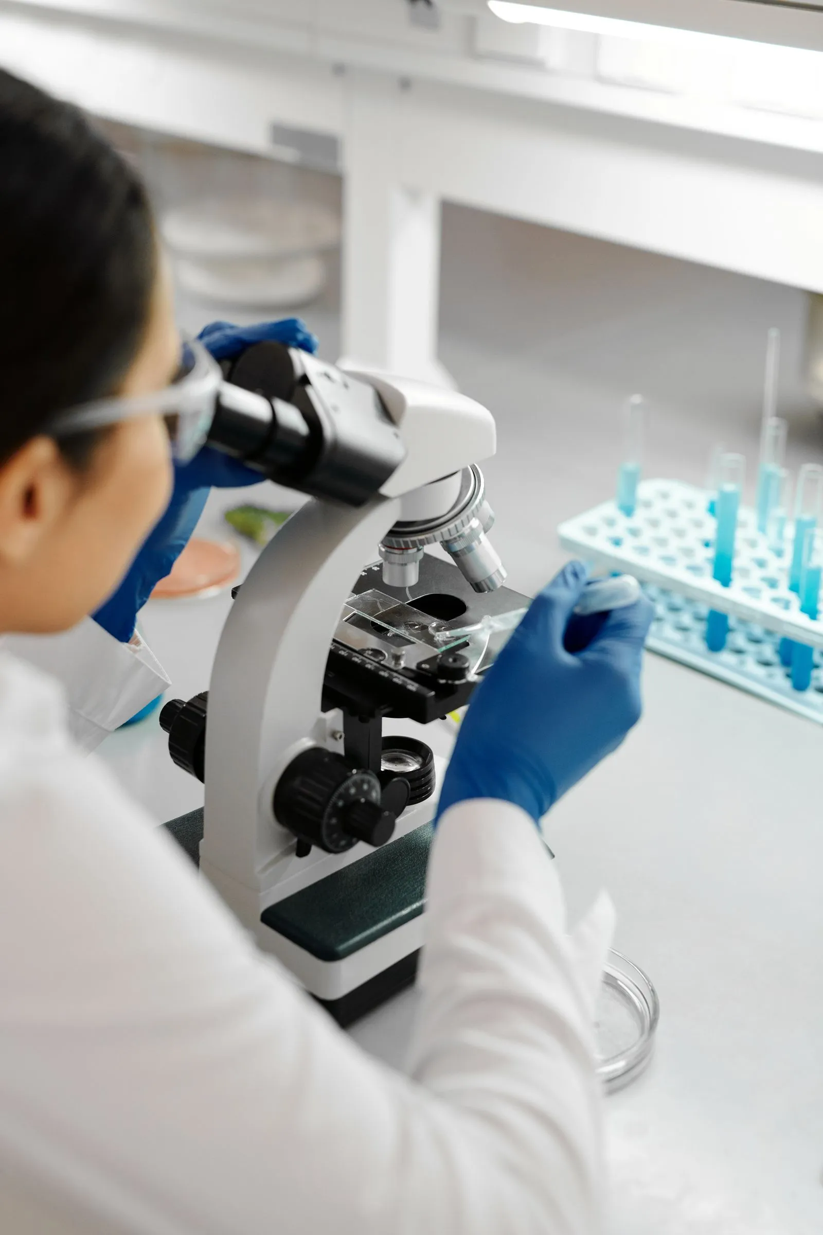 Laboratory scientist using a microscope